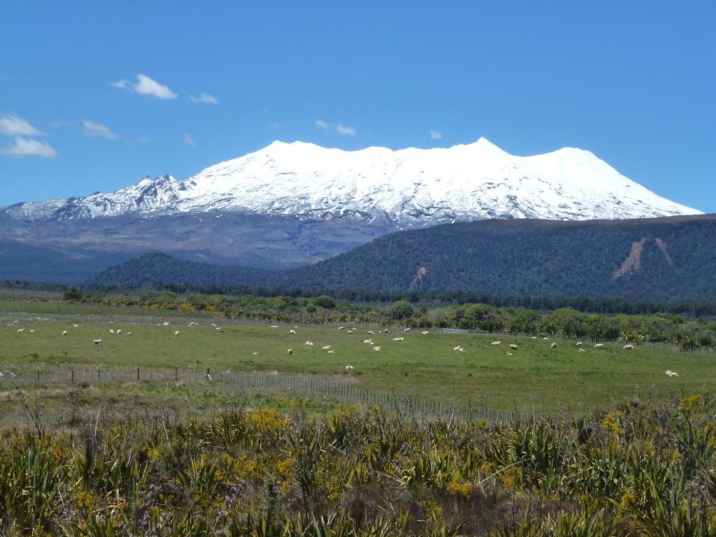 Manowhenua Lodge Nationalpark Exteriör bild